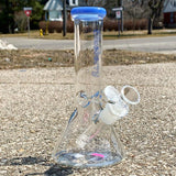 8" Blueberry Classic Mini Beaker (5mm) (Various Colours)