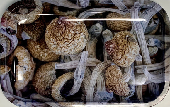 'Shroom Collage' Metal Rolling Tray