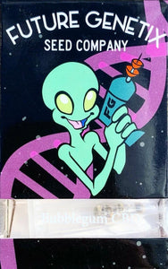 Cannabis Seeds By Future Genetix (4 seeds/pack)