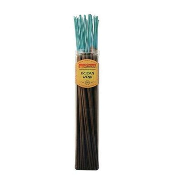 WildBerry Incense Biggies - Ocean Wind